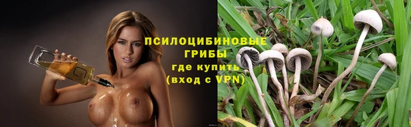 ECSTASY Алексин