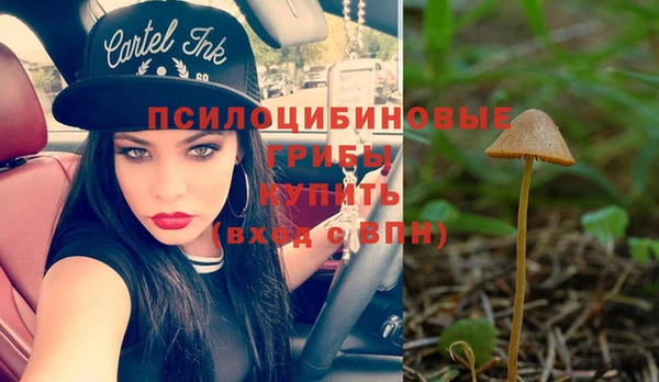 метадон Коряжма