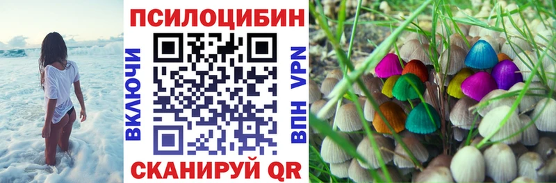 Псилоцибиновые грибы мухоморы  закладки  Стародуб 